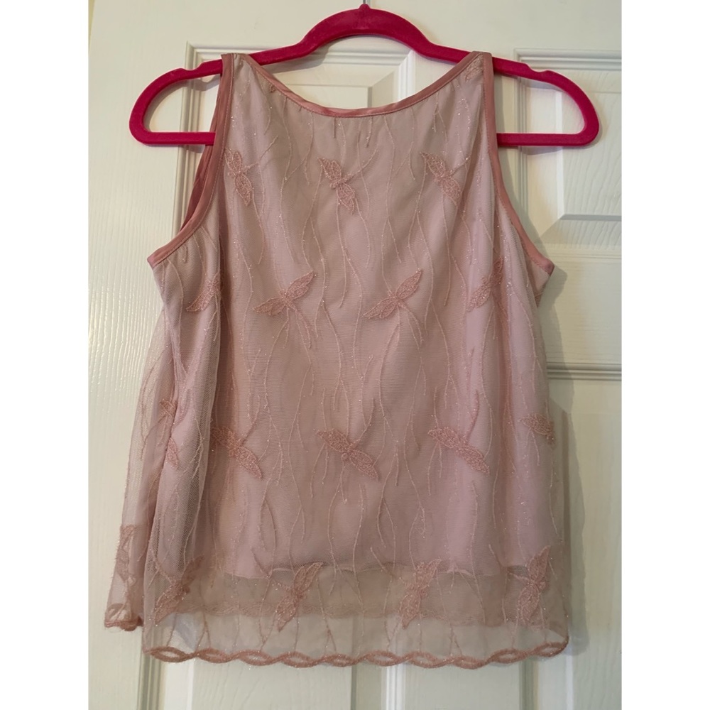 Sheer pink top
